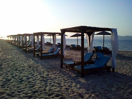 Barracuda Beach