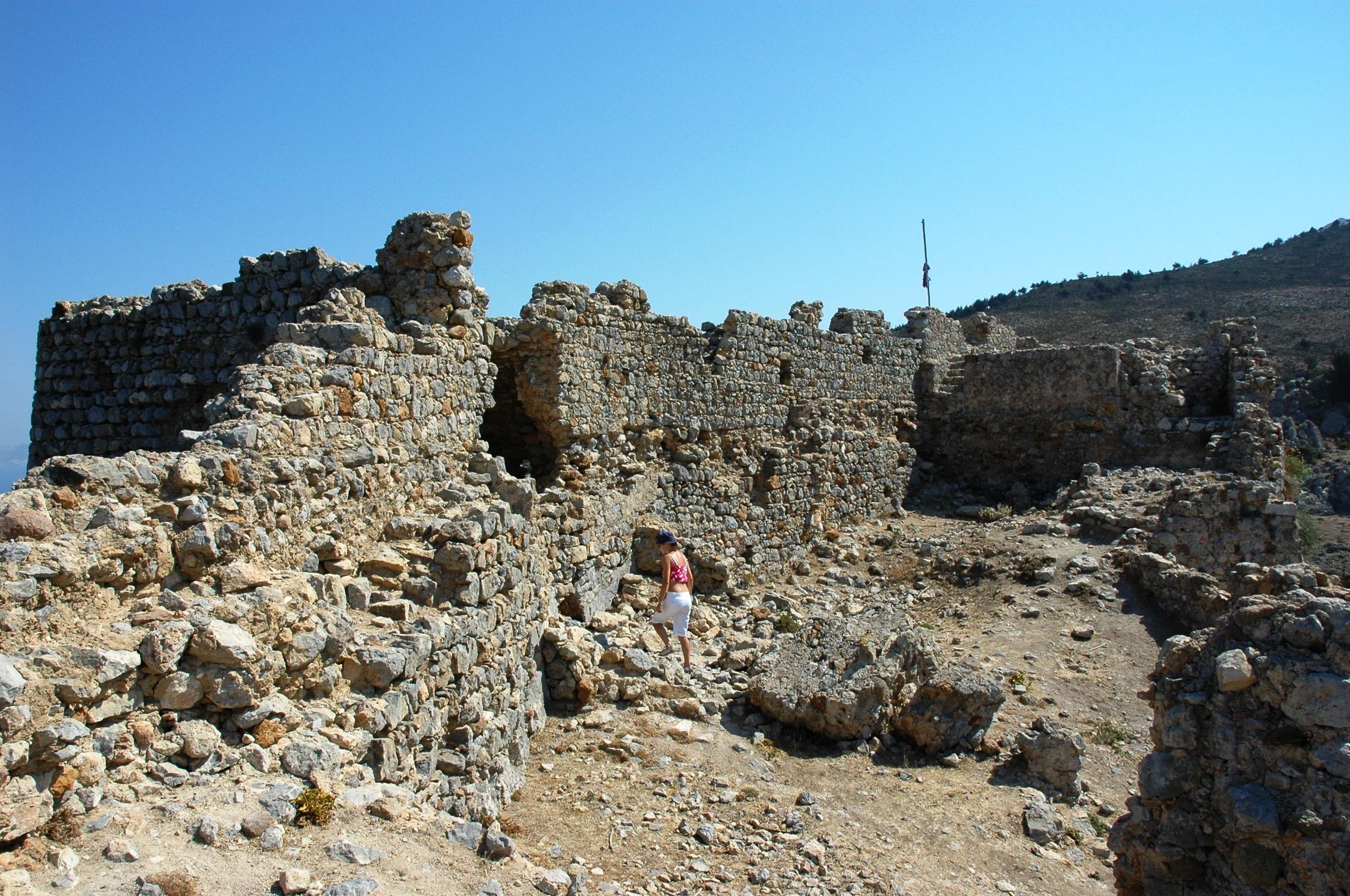 Palio pyli